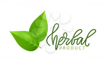 Herbal product isolated green leaves logo and lettering. Vector herbs and spices symbol, vegan food emblem. Natural nutrition greenery, flat style label