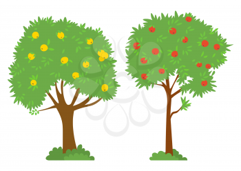 Harvesting vector, isolated trees red and yellow apples. Garden with plants and bushes, foliage and branches. Summer or autumn season picking fruits outside. Picking apples concept. Flat cartoon