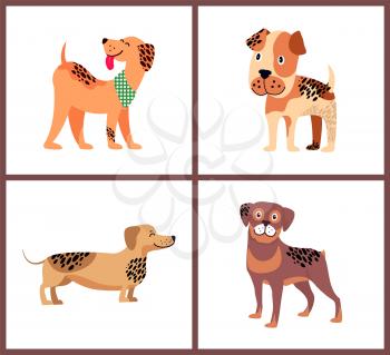 Weimaraner with neckerchief, boxer puppy, adorable dachshund and friendly rottweiler isolated cartoon vector illustrations on white background.