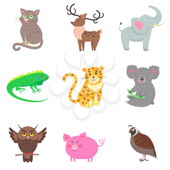 Vector illustration of brown owl and quail, pink pig, gray koala and elephant, spotty jaguar, green iguana, domestic cat and horned deer. Nine icons with animals for children in cartoon design.