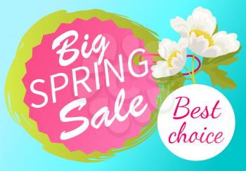 Best choice big spring sale advertisement tag label with white anemone flower on sticker, vector springtime advertisement poster springtime flowers