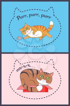 Two posters with nice striped cats vector illustration of sitting in box and playing with mouse funny kittens isolated on blue and pink backgrounds
