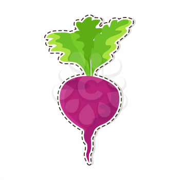 Ripe vegetable sticker or icon. Red beetroot flat vector isolated on white background. Vegetarian food illustration outlined with dotted line