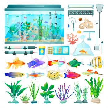 Aquarium and fish set of icons, various types of plants with stones, lamp and equipment for domestic pet care, vector illustration isolated on white