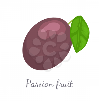 Passionfruit with leaf, exotic juicy fruit vector isolated. Maracuja, parcha, grenadille or fruits de la passion. Tropical edible food, dieting plant