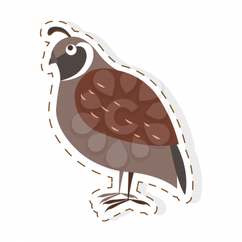 Funny cuty brown california quail vector sticker or icon isolated on white. Wild partridge bird illustration outlined with dotted line for game counters, kids books
