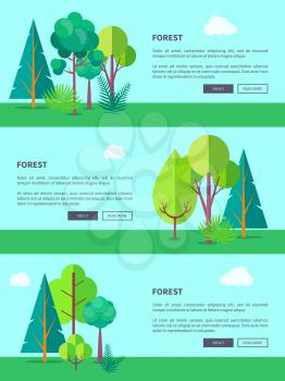 Forest template vector web banner with many green trees and bushes growing outdoors on fresh air and some written information nearby