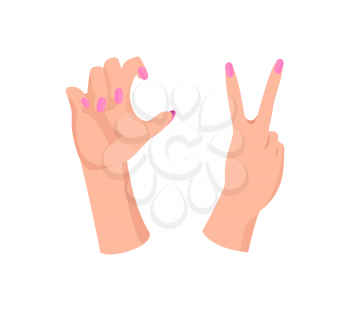 Pair of girl s hands with beauty pink manicure, colorful vector illustration with two wrist, folded and sticking fingers isolated on white background