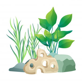 Vegetation green and coral plants with broad leaves foliage. Stone holes made by water. design of aquarium interior isolated on vector illustration