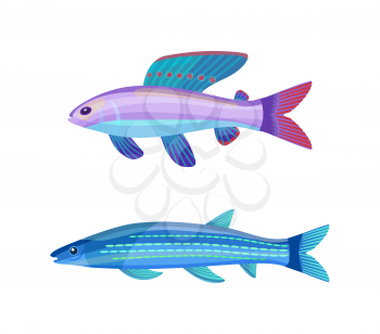 Rare exotic aquarium unusual color fish. Violet-blue sea creature with red dotted fin and long stripped blueish specie cartoon vector illustration.