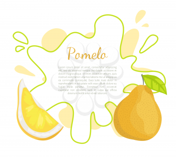 Pomelo exotic fruit vector poster with frame and place for text. Tropical food, similar to grapefruit or pear, dieting vegetarian citrus with leaf