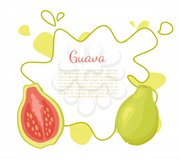 Guava or pineapple guavas exotic juicy fruit vector poster frame and text. Tropical food, dieting vegetarian plant full of vitamins with eatable flesh