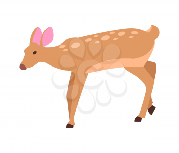 Adult doe isolated vector illustration in cartoon style. Young deer on white background, mammal without horns in flat design back view