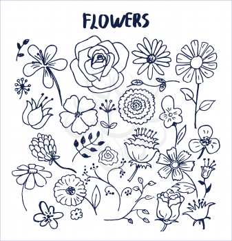 Set of hand drawn flowers vector illustration with cute black sketches of roses chamomiles lilys violets orchid aster poppies and other lovely flowers