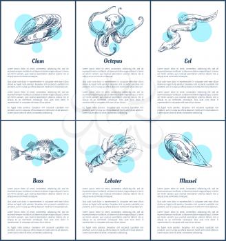 Lobster and marine dwellers posters set. Mussels and oyster, bass fish and octopus eel with long tail. Nautical creatures of sea vector illustration