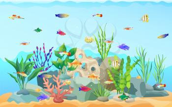 Sea plants with different limbless cold-blooded animals flowing in water. Seaweed flora fauna underwater dwellers, rocks and sand vector illustration