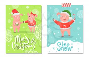 Merry Christmas and let it snow postcards, piglets symbol of New Year with gift box on snowflakes. Pig girlfriend and boyfriend in Santa hat vector