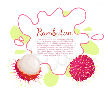 Rambutan exotic juicy stone fruit vector poster frame and text. Dieting vegetarian icon, related to edible tropical fruits lychee, longan, and mamoncillo
