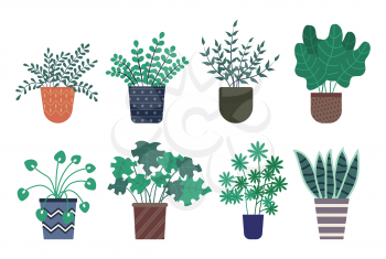 Decorative plants vector, isolated icons set, potted flowers with foliage of different shape and type. Botanical home decor, herbal plantation vegetation