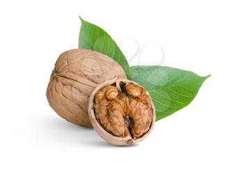 walnut with green leaves isolated on white
