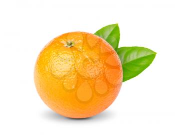 Royalty Free Photo of a Ripe Orange