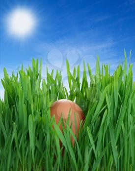 Easter egg in grass on background blue spring sky