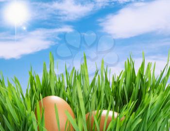 Easter eggs in grass against a beautiful blue sky
