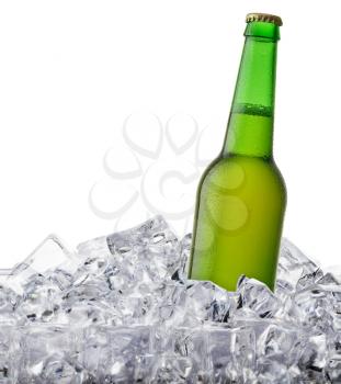 beer bottle getting cool in ice cubes. Isolated on a white background.