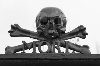 A skull at a graveyard (Memento Mori)