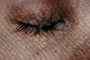 Women eye, close-up, concept of sadness, snake pattern
