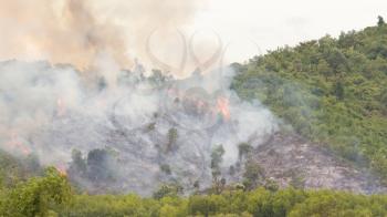 Starting forrest fire with lots of smoke, Vietnam