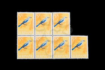 SURINAME - CIRCA 1960: Stamps printed by Suriname, shows a blue bird, circa 1960