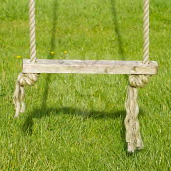 Old wooden tree swing with green grass background