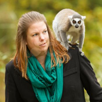 Ring-tailed lemur sitting on a womans shoulder, Holland