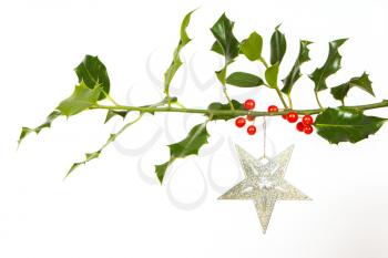 Very old silver star hanging from a twig (butchers broom), isolated