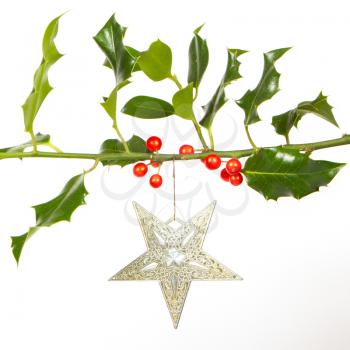 Very old silver star hanging from a twig (butchers broom), isolated