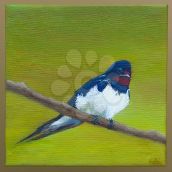 Painting of a swallow resting on a branch