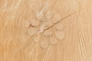 Close-up wooden texture, wood with a crack in the middle
