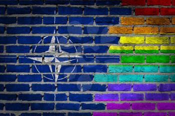 Dark brick wall texture - coutry flag and rainbow flag painted on wall - NATO