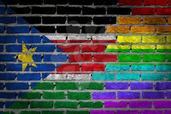 Dark brick wall texture - coutry flag and rainbow flag painted on wall - South Sudan