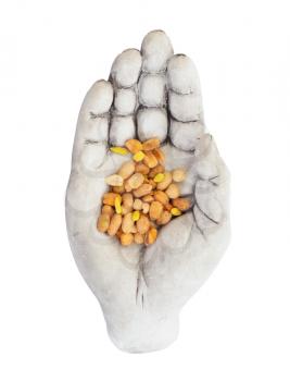 Fresh mixed salted nuts in a bowl (hand), peanut mix, isolated on white