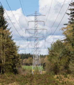 Large electric pylons splitting the dutch forrest