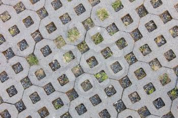 Paving-stone in a lattice shape and green grass in the holes