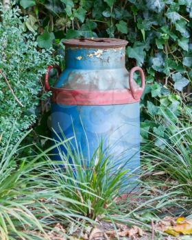 Old buckets milk, beautifully painted but rusting in nature