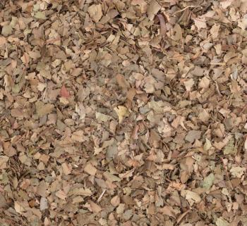 Dry tea leaves, top view, isolated on white