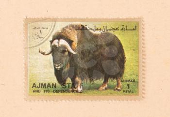 Ajman Stock Photo