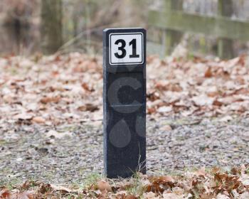 Sign displaying 31, at the side of the road