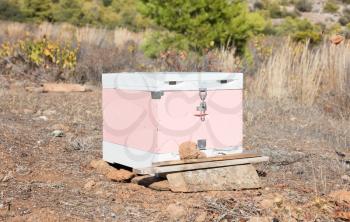 Beehive with bees in Greece - Selective focus