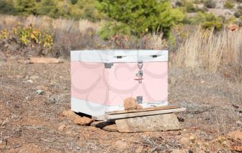 Beehive with bees in Greece - Selective focus