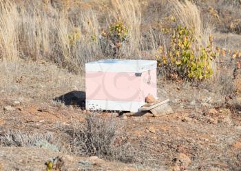 Beehive with bees in Greece - Selective focus